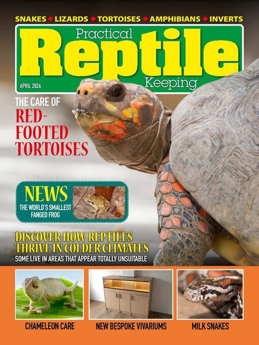 Cover image for Practical Reptile Keeping